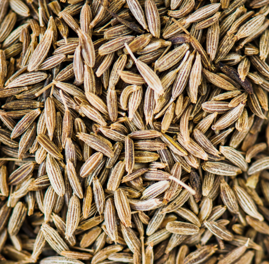 Kümmel